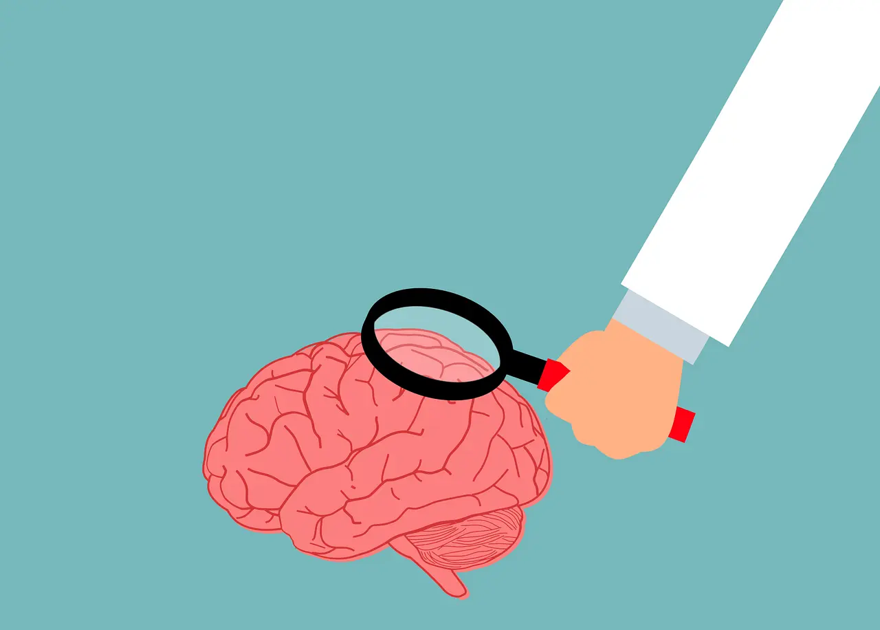 Brain and nervous system illustration