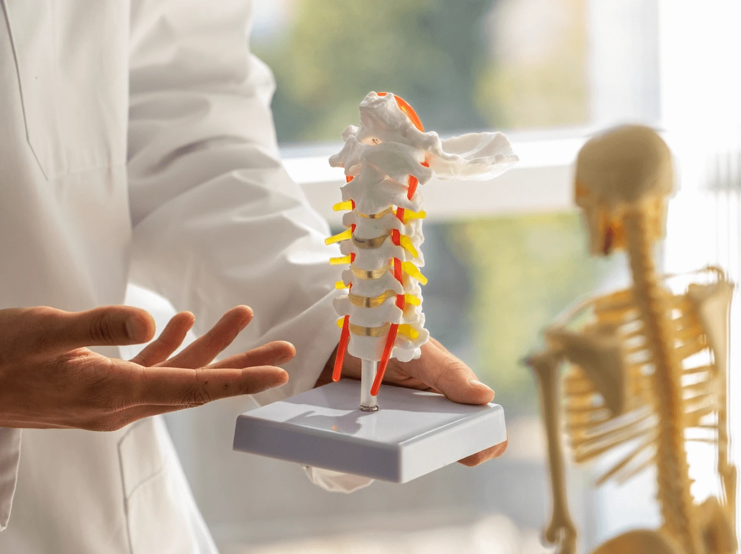 Wellness and hormone balance concept